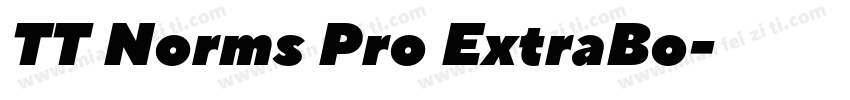 TT Norms Pro ExtraBo字体转换